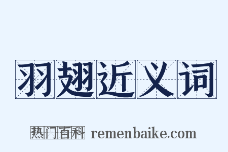 羽翅近义词是什么意思的图片
